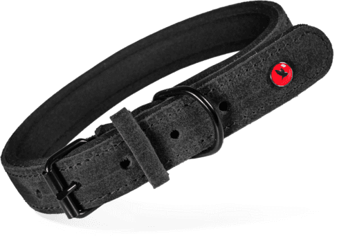 ZOLUX Komfort-Lederhalsband für Hunde, 29–36 cm, 16 mm, schwarz – Bild 2