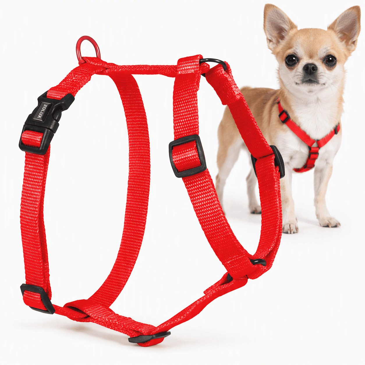 ZOLUX Klassisches Nylon-Hundegeschirr, 23–39 cm, 10 mm, rot – Bild 1