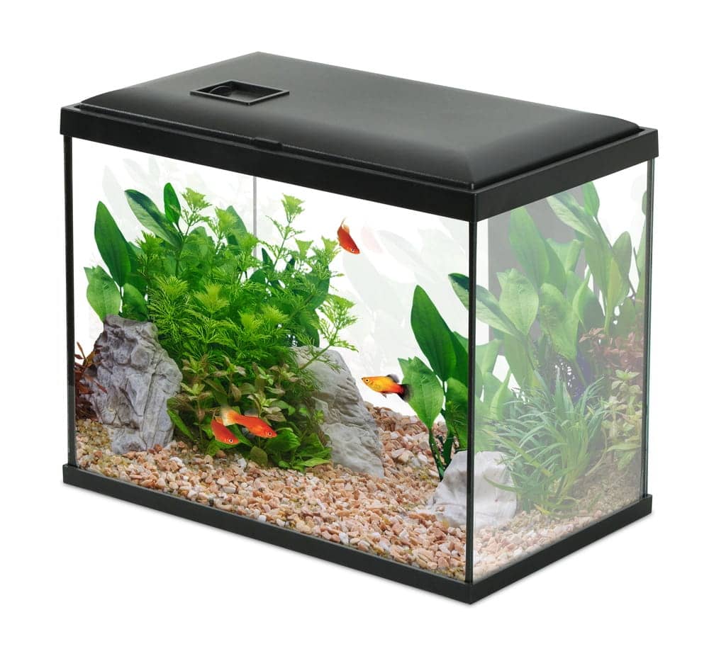 ZOLUX Aquarium INITIO 35 mit Kaskadenfilter 30 und LED, 18 l, schwarz + Gratis-Zubehör 352188+352192+352202+352217 – Bild 2