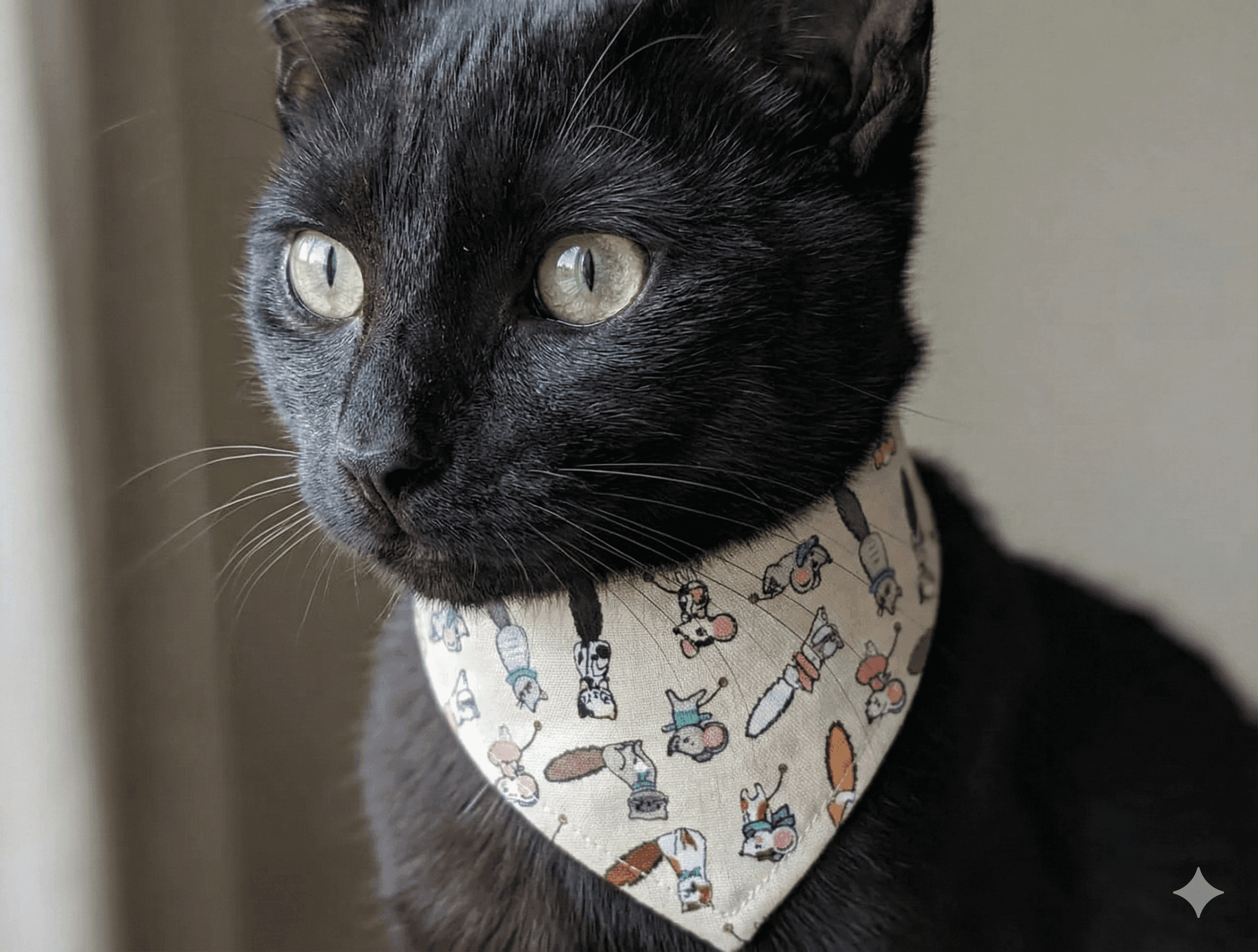 ZOLUX CHATOUILLE Katzenhalsband mit Bandana, Katzen- und Mäusemotiv – Bild 5