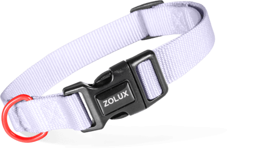 ZOLUX Klassisches Nylon-Hundehalsband, 21–36 cm, 10 mm, lila – Bild 2