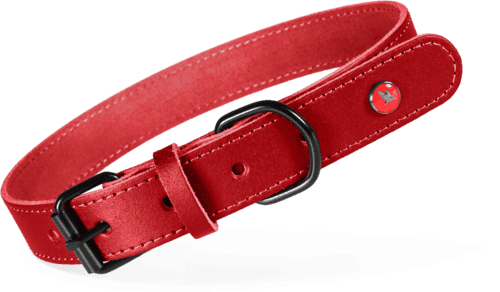 ZOLUX Klassisches Lederhalsband für Hunde, 19–24 cm, 14 mm, bordeauxrot – Bild 1