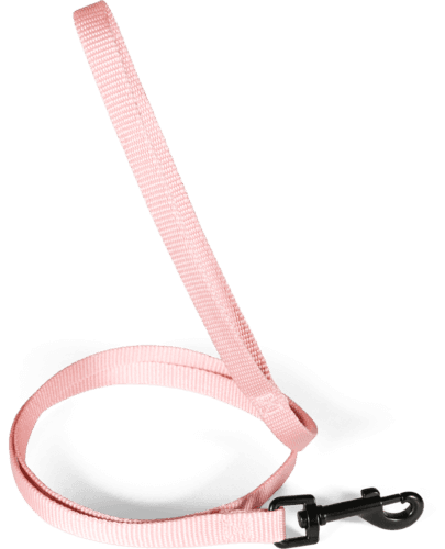 ZOLUX Klassische Nylon-Hundeleine, 1,20 m, 15 mm, rosa – Bild 3