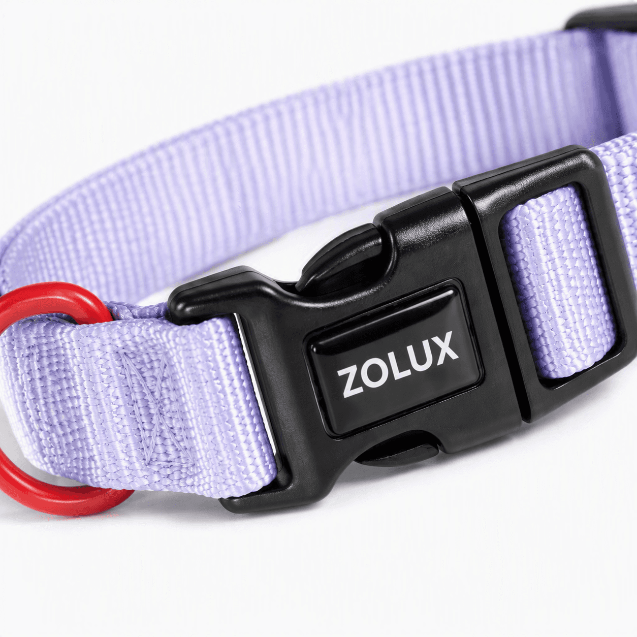 ZOLUX Klassisches Nylon-Hundehalsband, 21–36 cm, 10 mm, lila – Bild 5