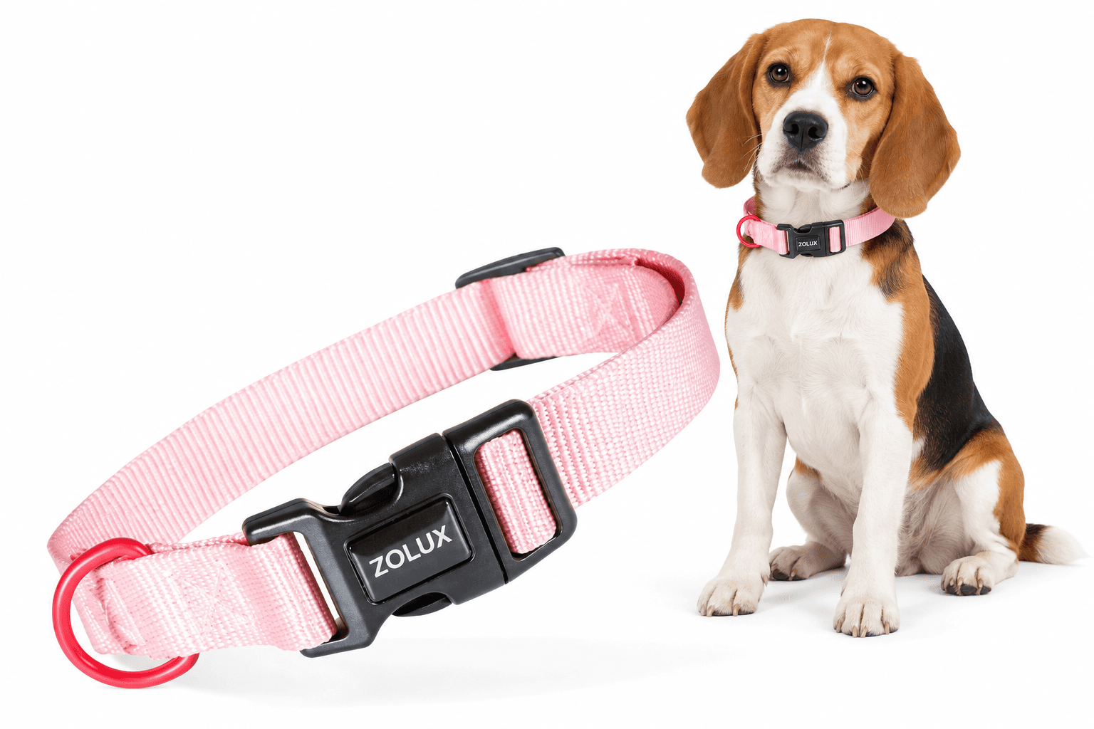 ZOLUX Klassisches Nylon-Hundehalsband, 26–39 cm, 15 mm, rosa – Bild 1