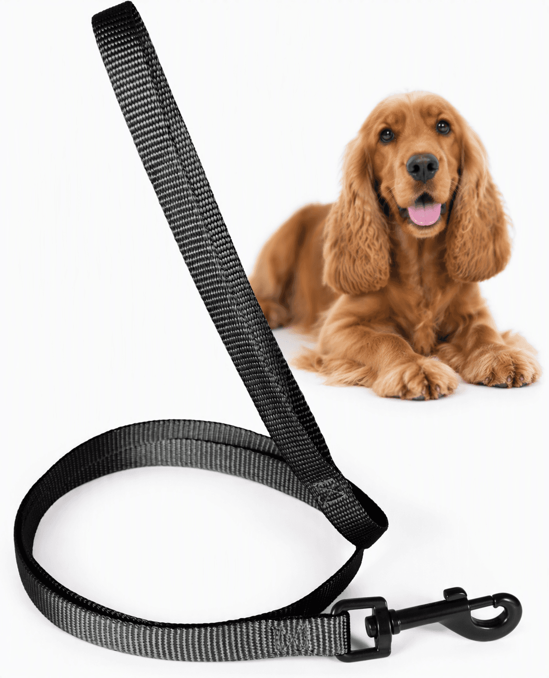 ZOLUX Klassische Nylon-Hundeleine, 1,20 m, 20 mm, schwarz – Bild 1