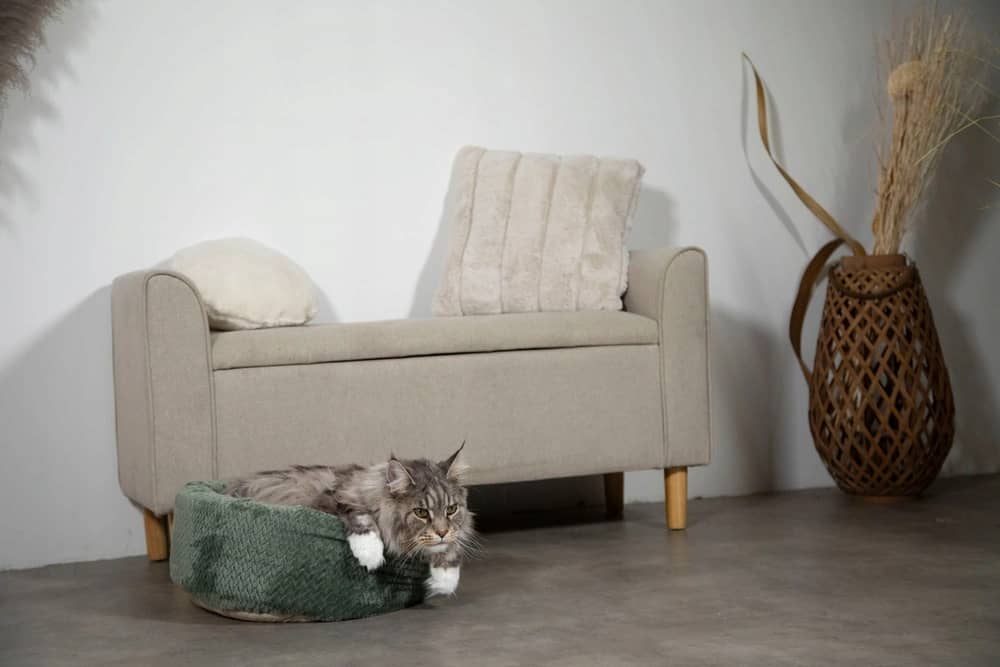 ZOLUX OLYMPE XL Rundes Katzenbett, 54 x 54 x 23 cm, khaki – Bild 9