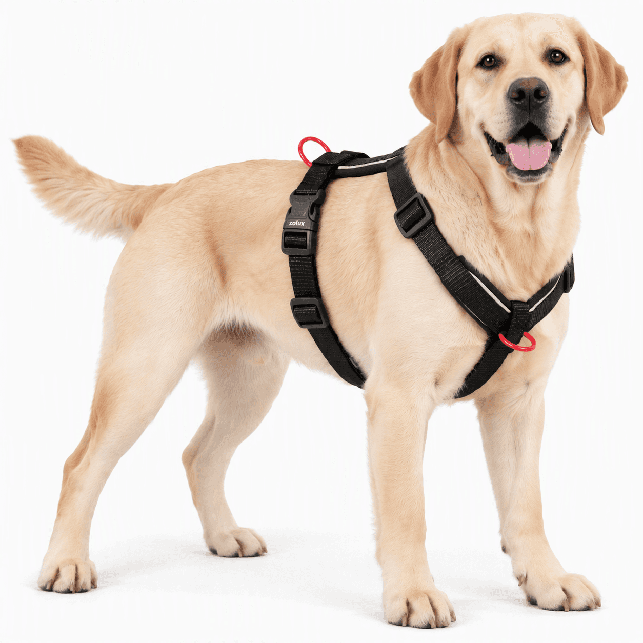 ZOLUX Premium-Nylon-Hundegeschirr, Größe L/XL, 65–97 cm, 25 mm, schwarz – Bild 6