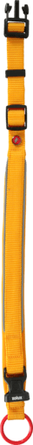 ZOLUX Premium-Nylon-Hundehalsband, Größe M, 40–45 cm, 20 mm, gelb – Bild 9
