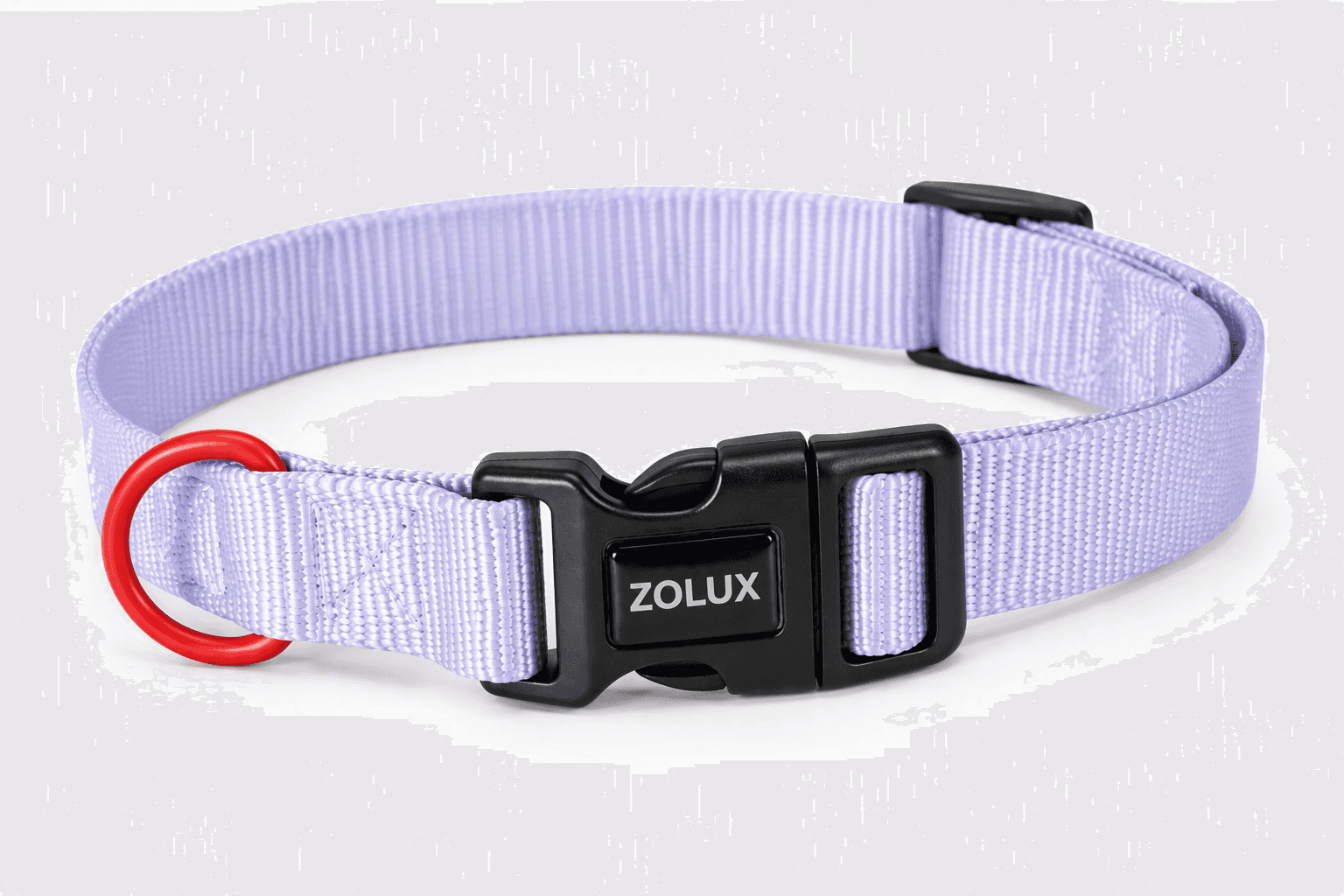 ZOLUX Klassisches Nylon-Hundehalsband, 31–48 cm, 20 mm, lila – Bild 8