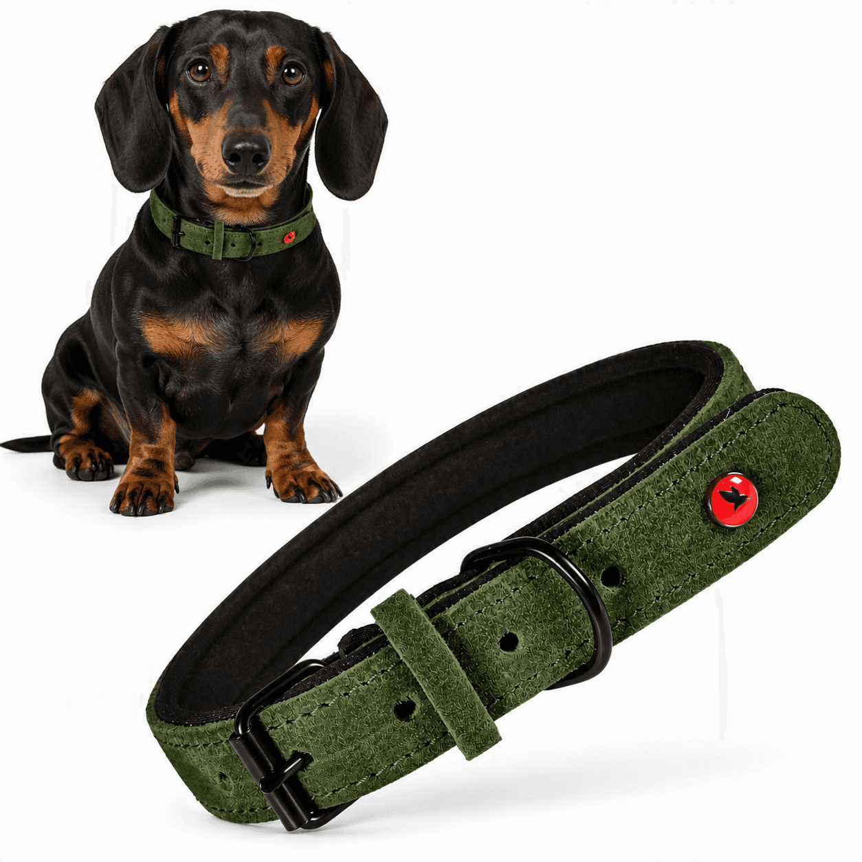 ZOLUX Komfort-Lederhalsband für Hunde, 29–36 cm, 16 mm, grün – Bild 4