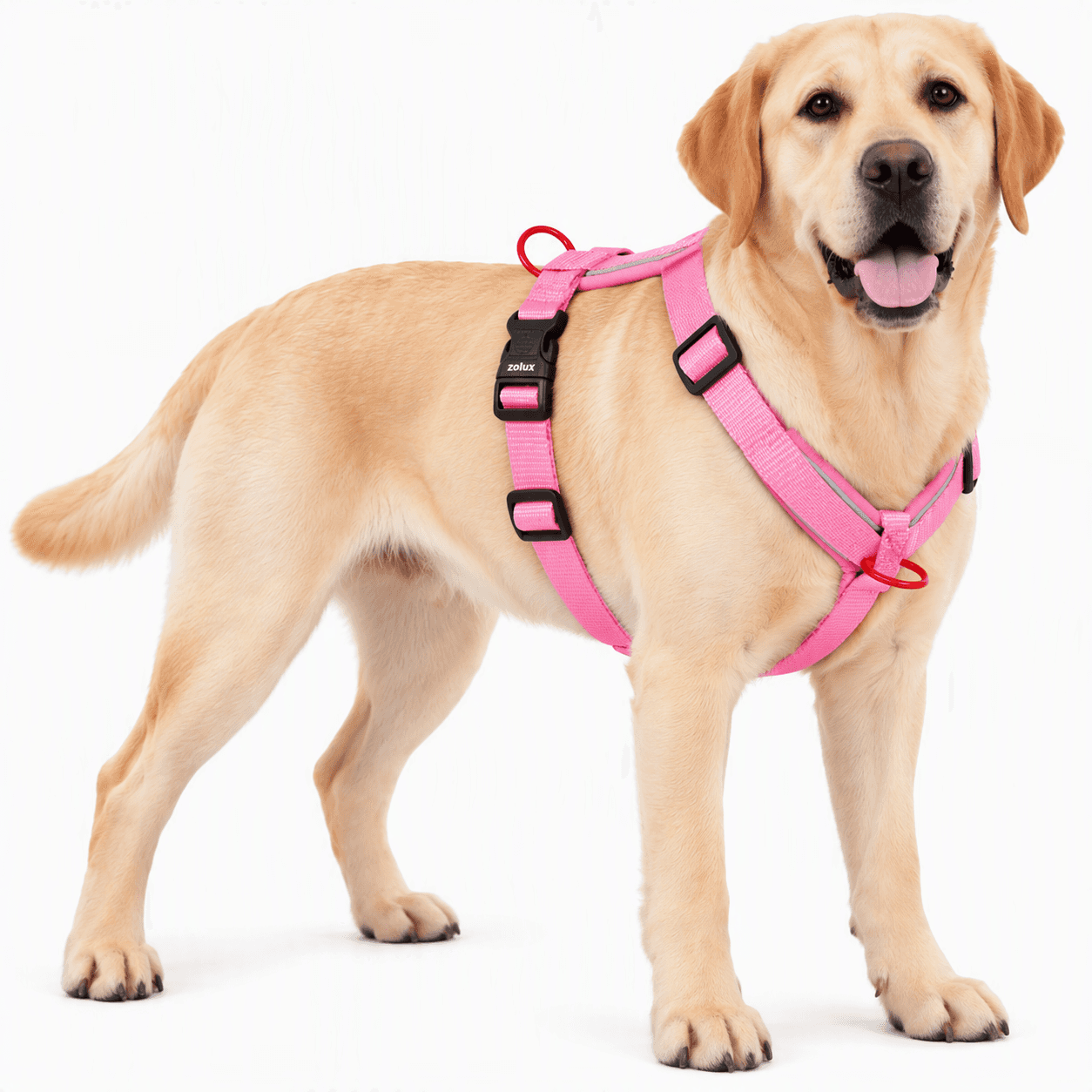 ZOLUX Premium-Nylon-Hundegeschirr, Größe L/XL, 65–97 cm, 25 mm, fuchsia – Bild 6