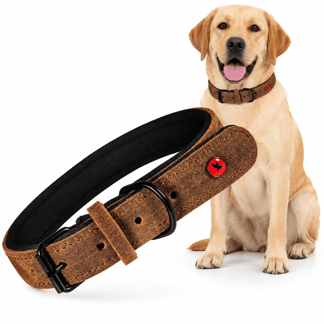 ZOLUX Komfort-Lederhalsband für Hunde, 34–44 cm, 20 mm, braun – Bild 1