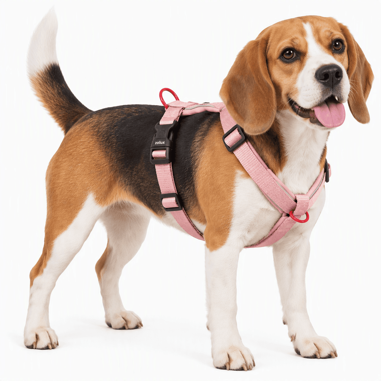 ZOLUX Premium-Nylon-Hundegeschirr, Größe M, 50–74 cm, 20 mm, rosa – Bild 6