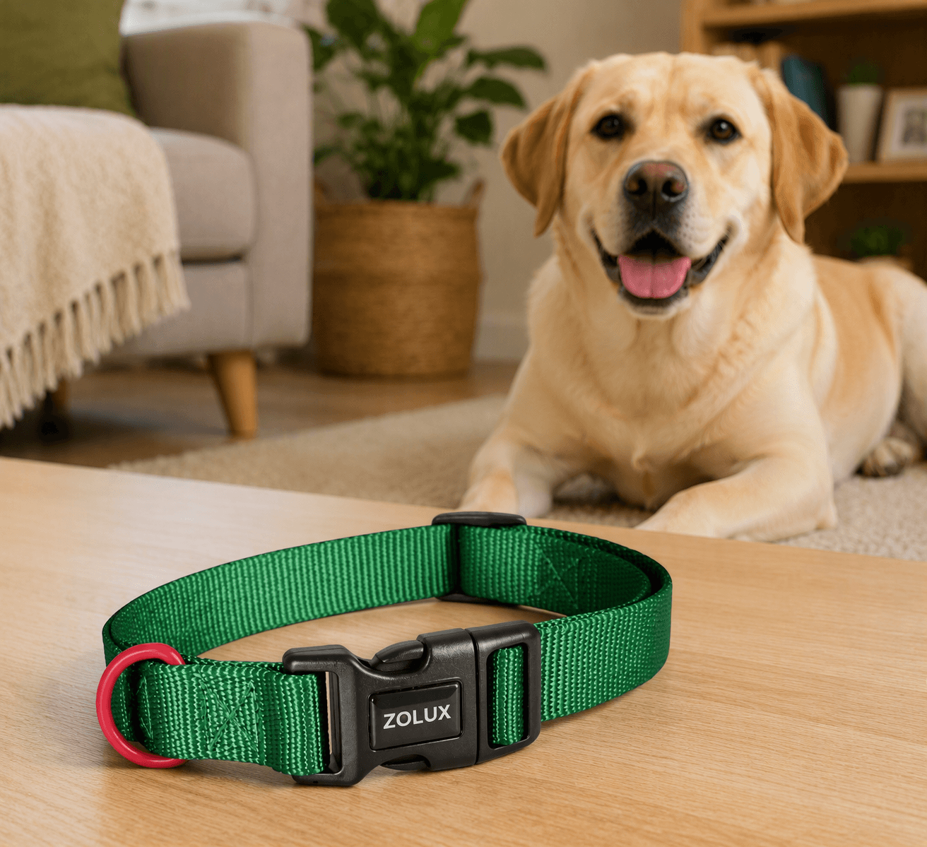 ZOLUX Klassisches Nylon-Hundehalsband, 37–58 cm, 25 mm, grün – Bild 4