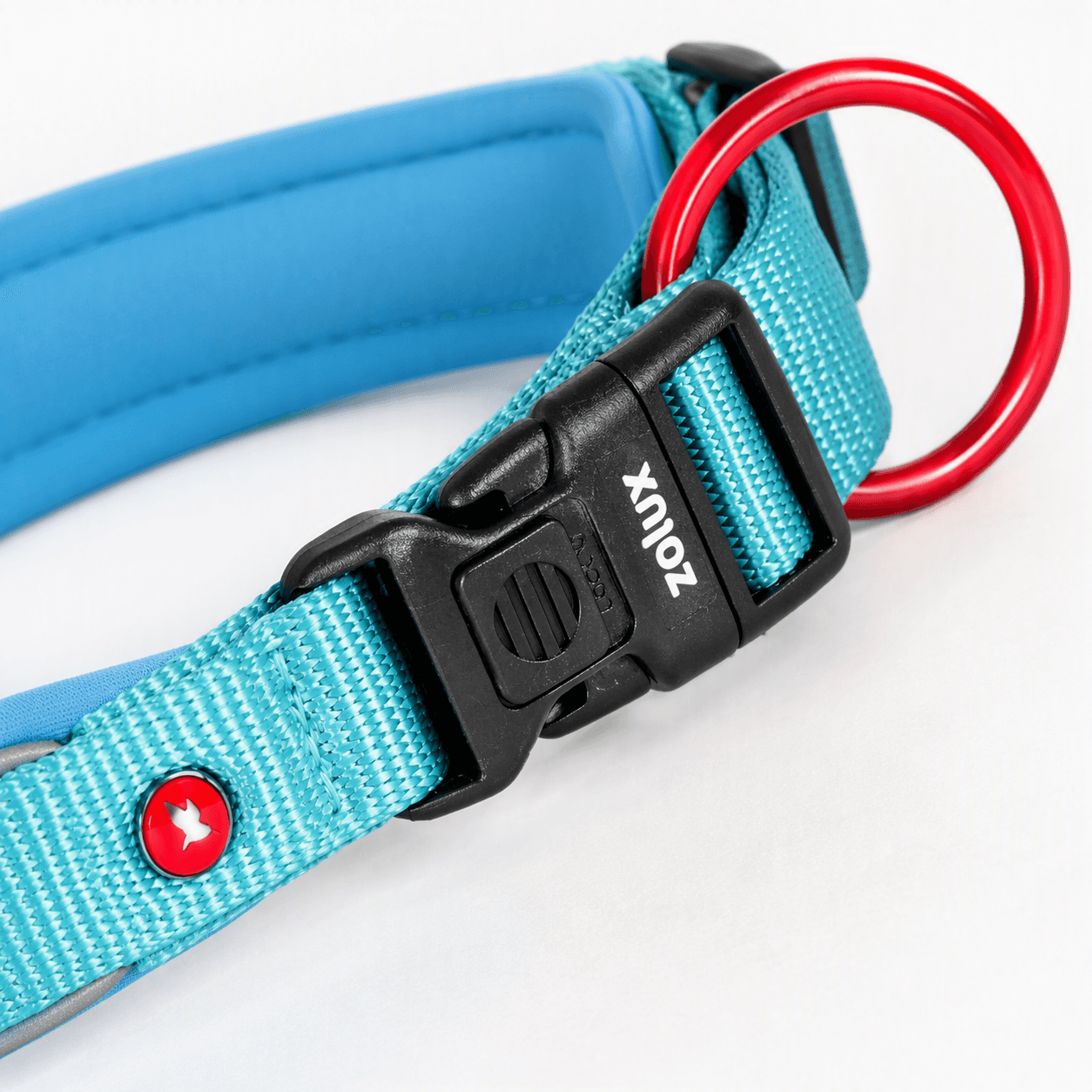 ZOLUX Premium-Nylon-Hundehalsband, Größe XXS, 25–30 cm, 15 mm, türkis – Bild 6