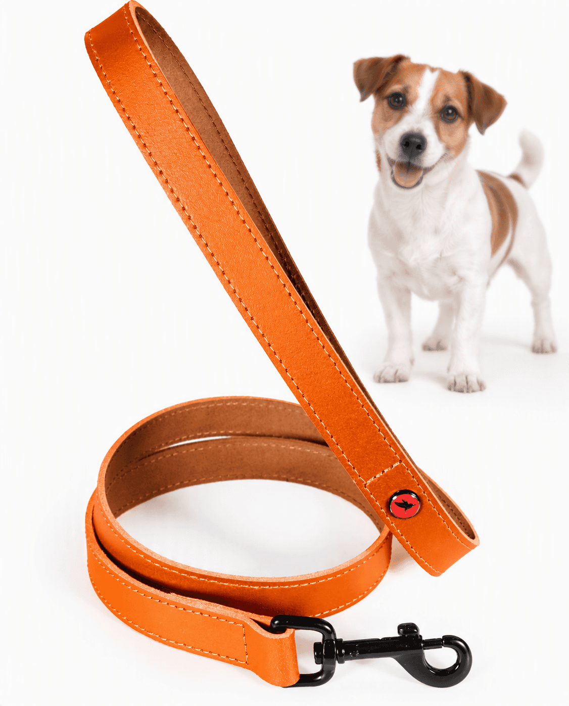 ZOLUX Klassische Lederleine für Hunde, 1 m, 15 mm, orange – Bild 1