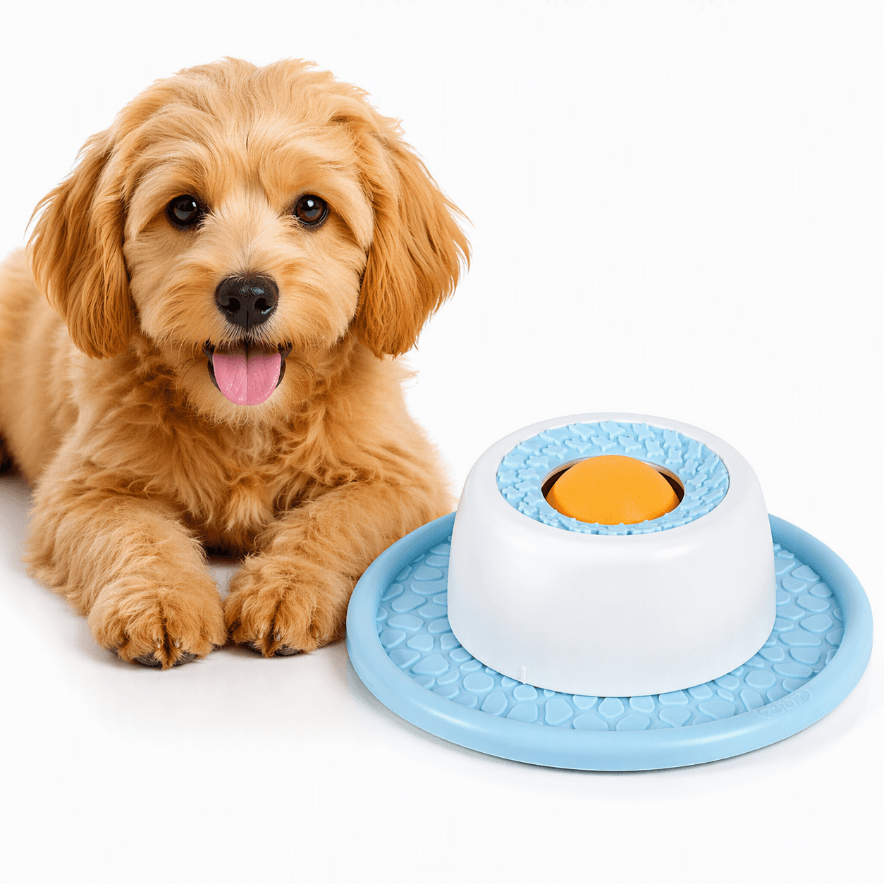 ZOLUX SWEETIES Anti-Schling-Napf für Hunde – Bild 9