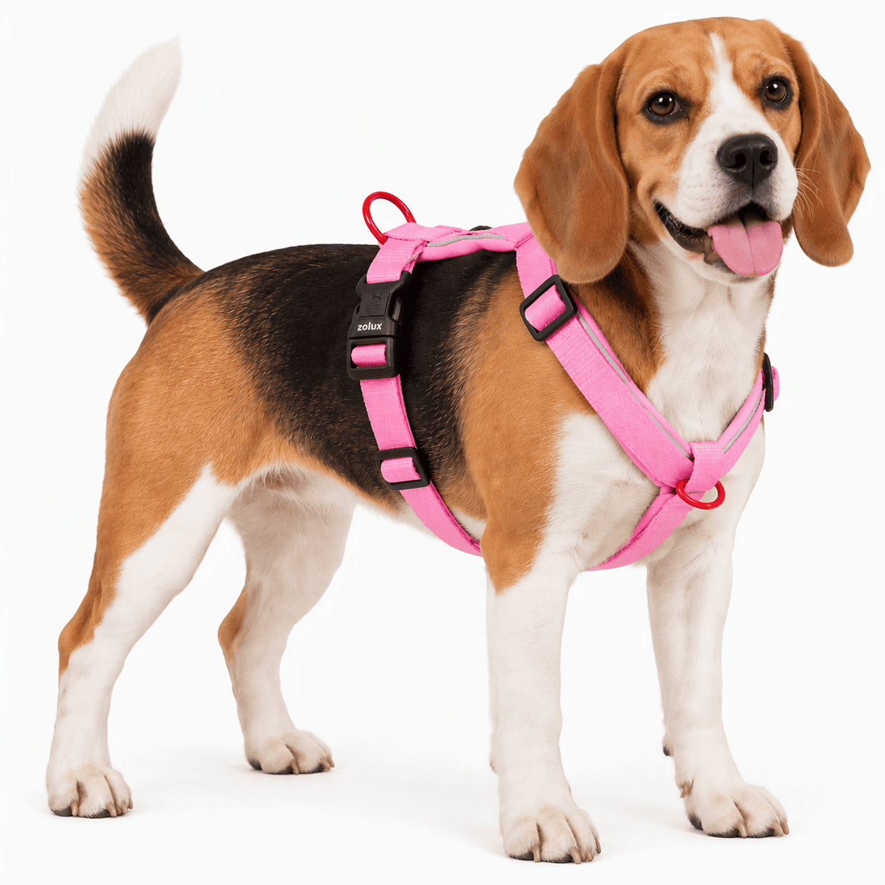 ZOLUX Premium-Nylon-Hundegeschirr, Größe M, 50–74 cm, 20 mm, fuchsia – Bild 6
