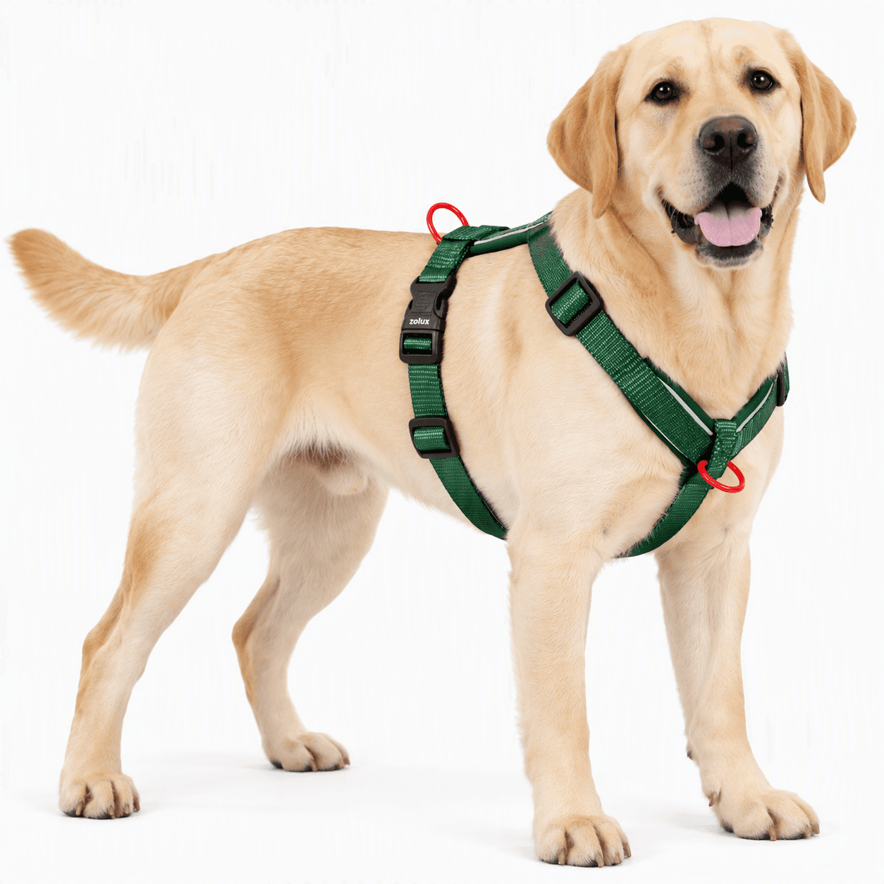 ZOLUX Premium-Nylon-Hundegeschirr, Größe L/XL, 65–97 cm, 25 mm, grün – Bild 6
