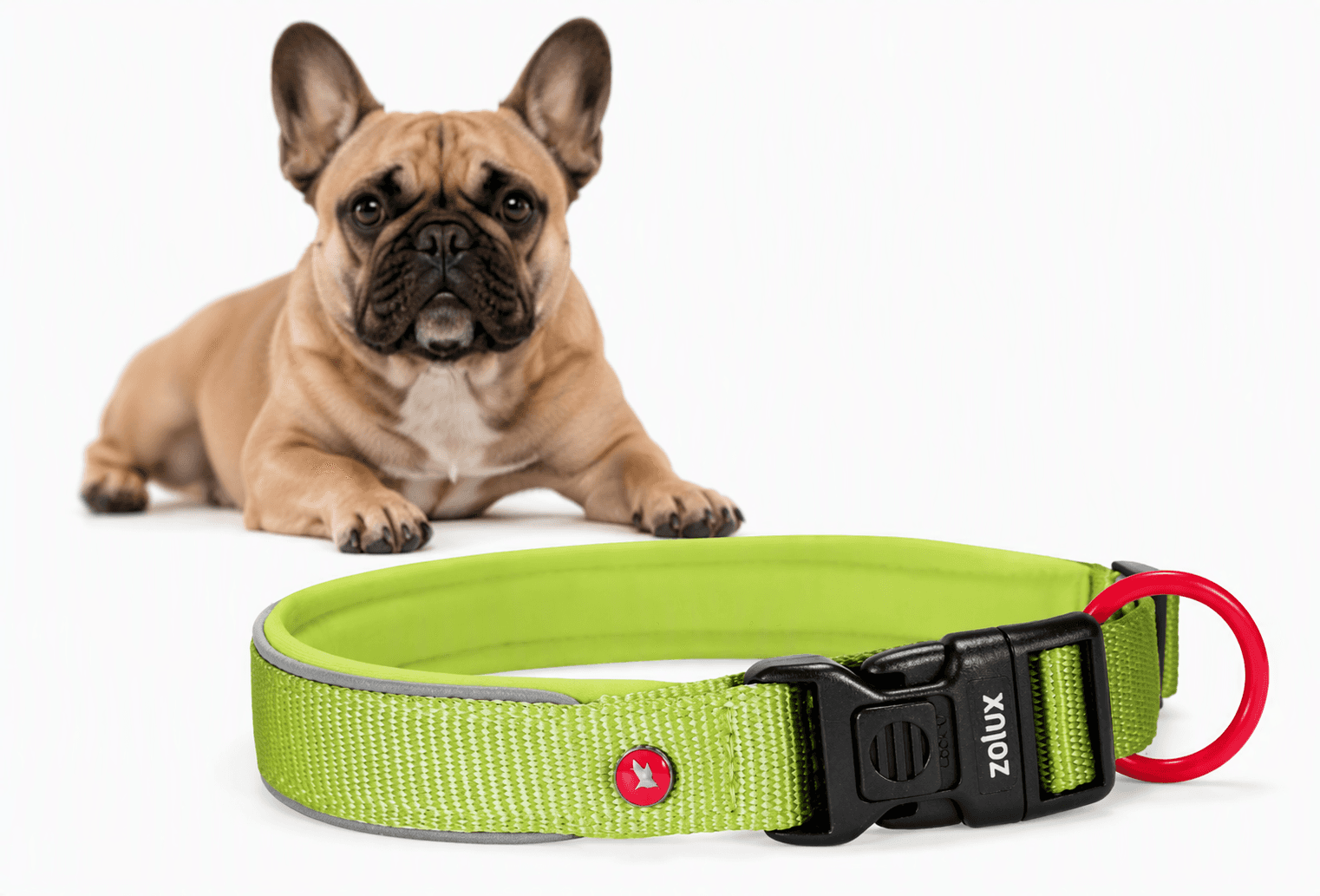 ZOLUX Premium-Nylon-Hundehalsband, Größe S, 35–40 cm, 20 mm, hellgrün – Bild 1