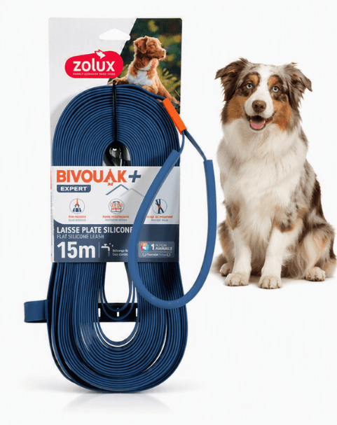 ZOLUX Flache Silikon- Hundeleine für BIVOUAK blau 15m – Bild 1