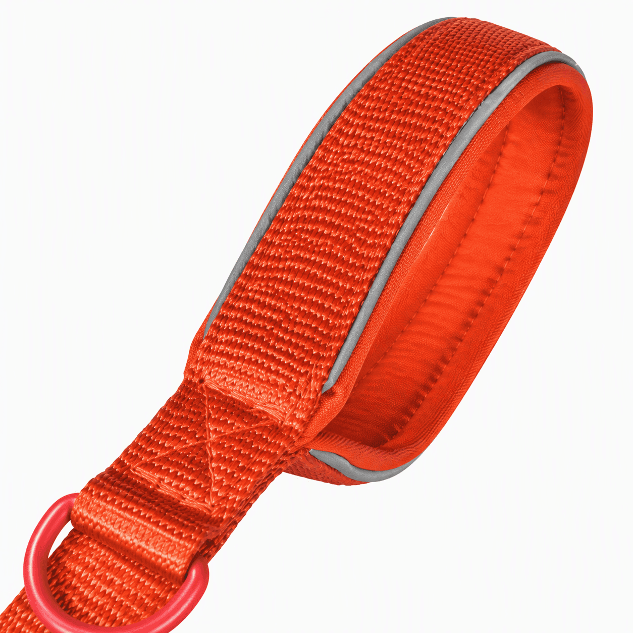 ZOLUX Premium-Nylon-Hundeleine, Größe XS, 1,2 m, 15 mm, rostbraun – Bild 3