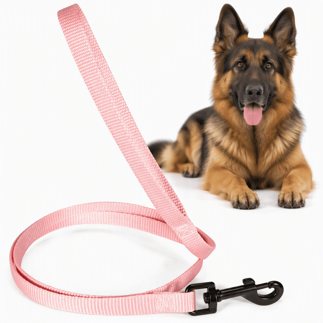ZOLUX Klassische Nylon-Hundeleine, 1,20 m, 25 mm, rosa – Bild 1