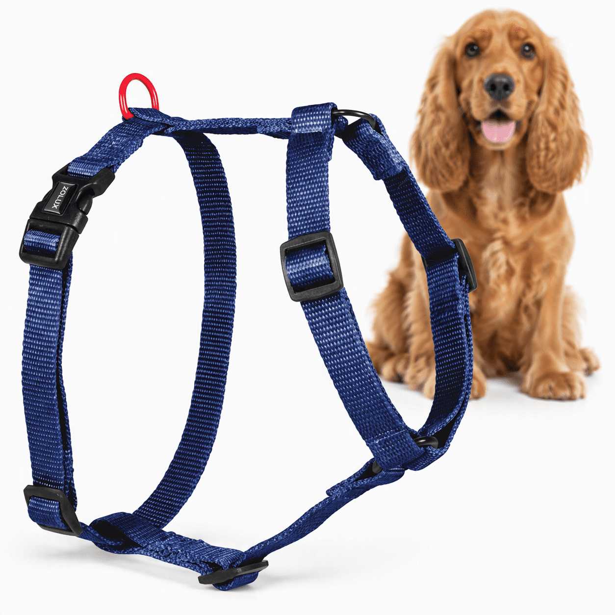 ZOLUX Klassisches Nylon-Hundegeschirr, 45–68 cm, 20 mm, marineblau – Bild 1