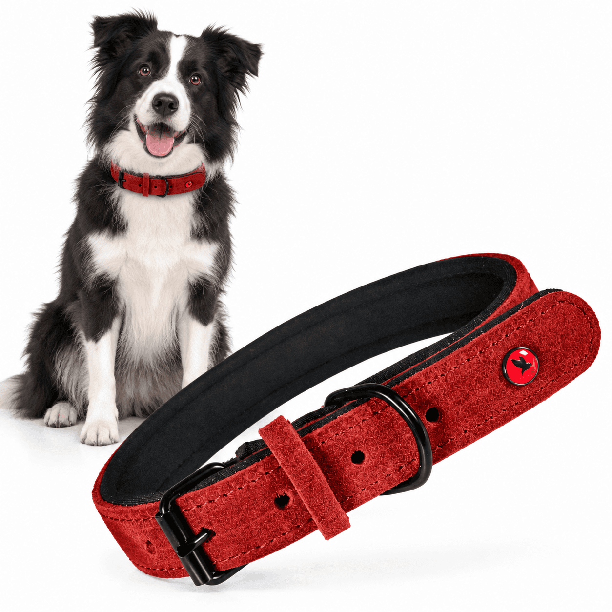 ZOLUX Komfort-Lederhalsband für Hunde, 33–39 cm, 18 mm, rot – Bild 1
