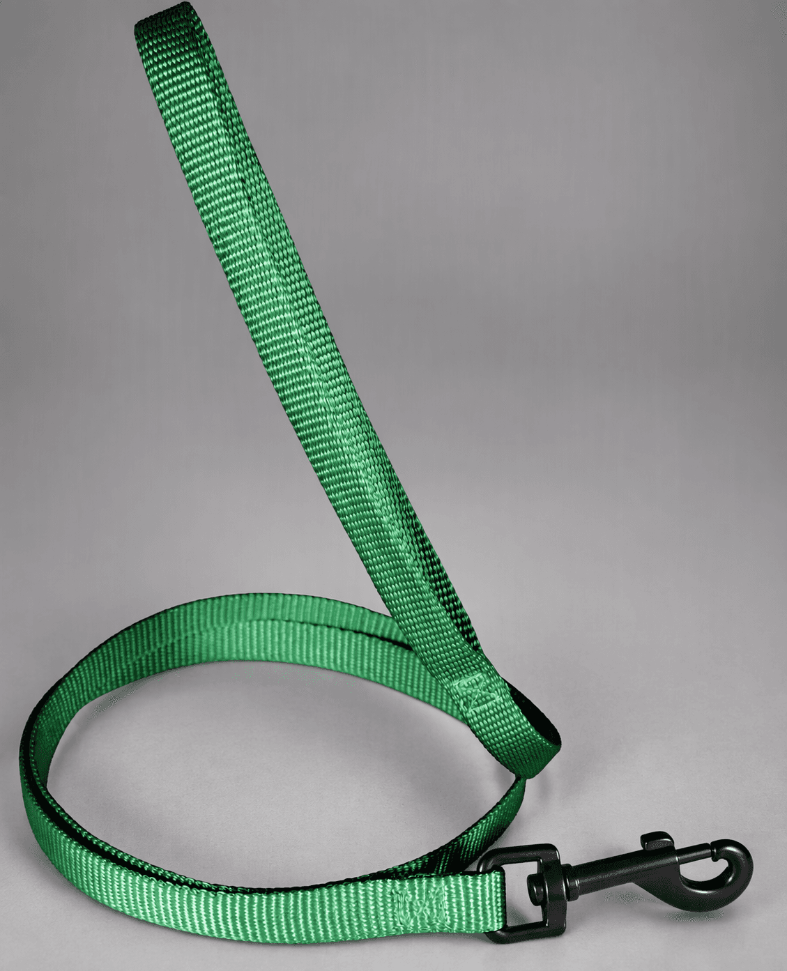 ZOLUX Klassische Nylon-Hundeleine, 1,20 m, 25 mm, grün – Bild 8