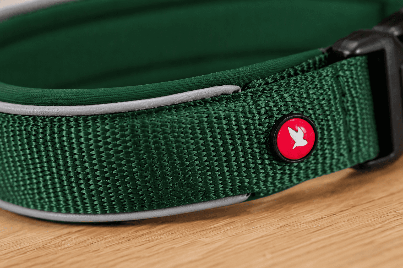 ZOLUX Premium-Nylon-Hundehalsband, Größe M, 40–45 cm, 20 mm, grün – Bild 6