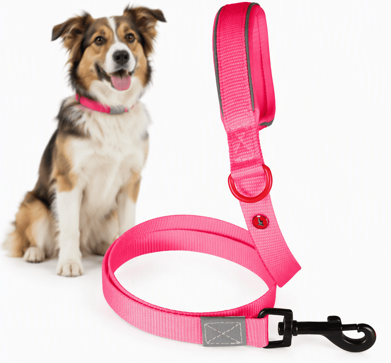 ZOLUX Premium-Nylon-Hundeleine, Größe M, 1,2 m, 20 mm, fuchsia – Bild 1