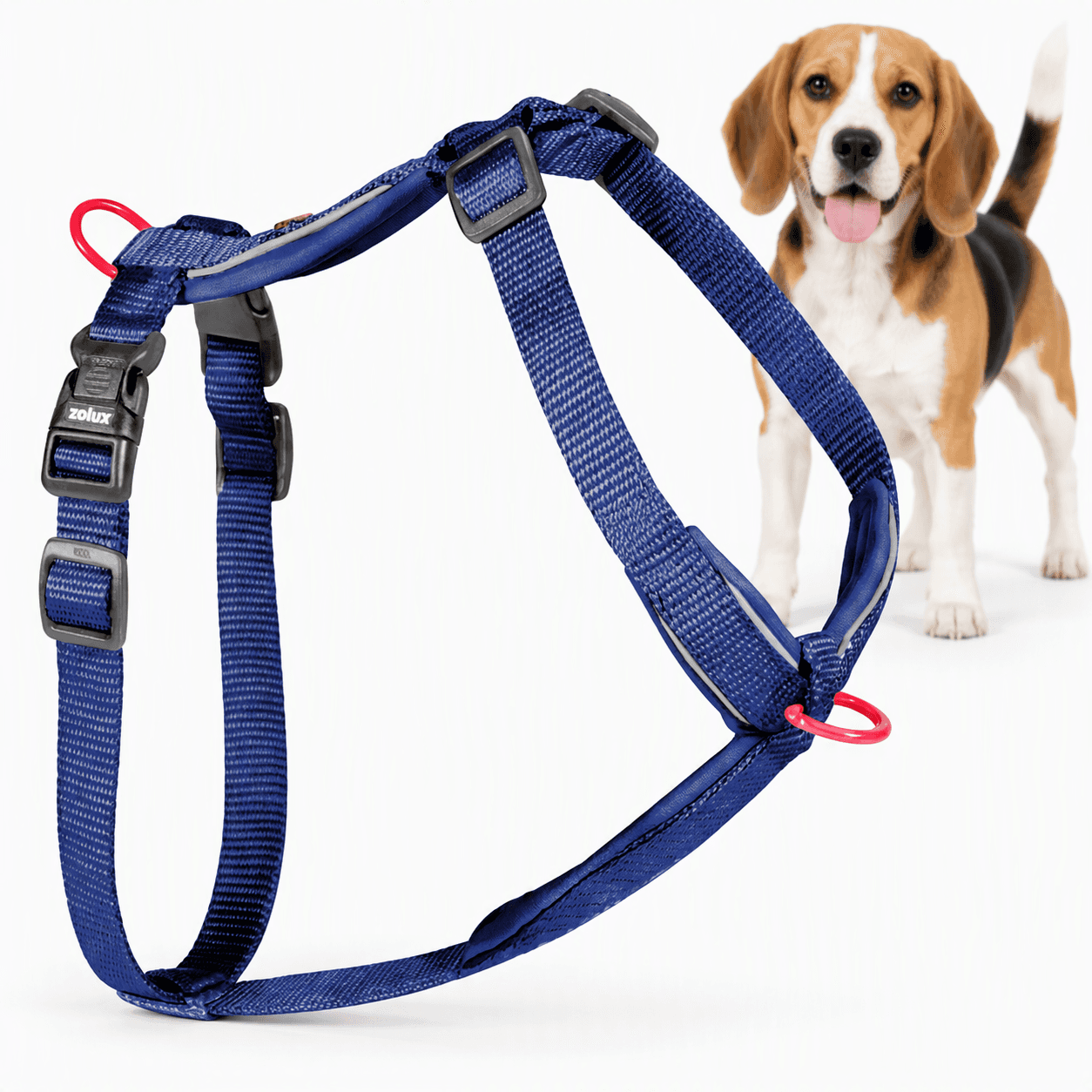 ZOLUX Premium-Nylon-Hundegeschirr, Größe M, 50–74 cm, 20 mm, marineblau – Bild 1