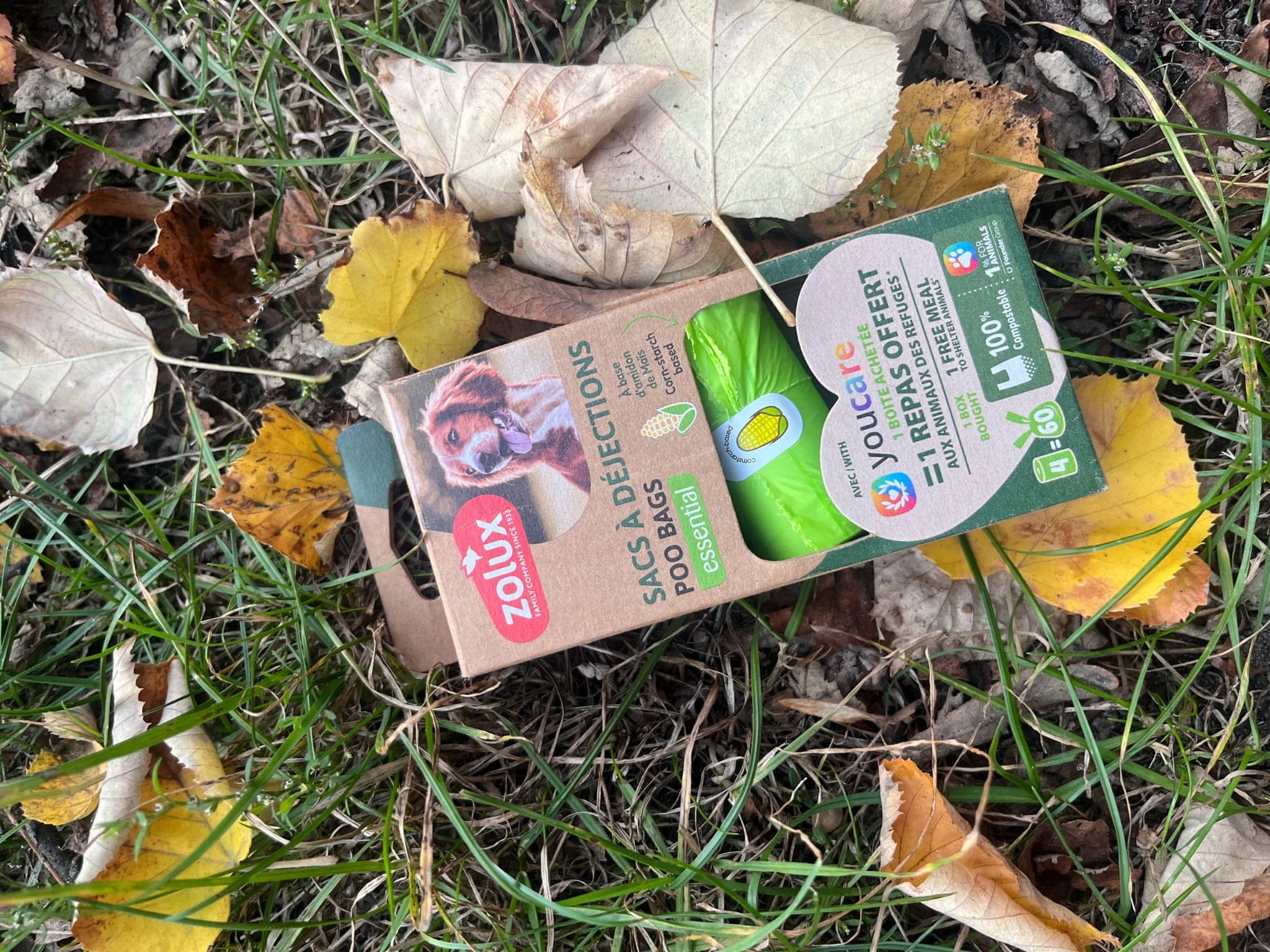 Miniaturbild 7