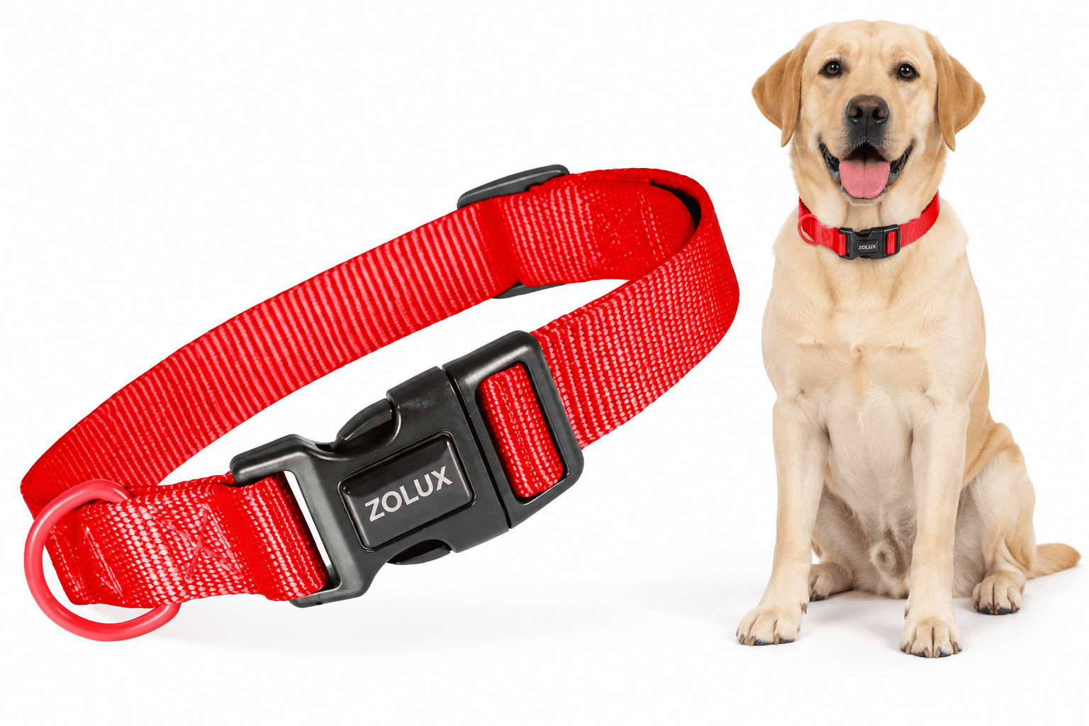 ZOLUX Klassisches Nylon-Hundehalsband, 37–58 cm, 25 mm, rot – Bild 1