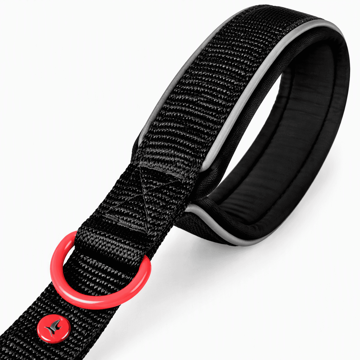ZOLUX Premium-Nylon-Hundeleine, Größe XL, 1,2 m, 25 mm, schwarz – Bild 4