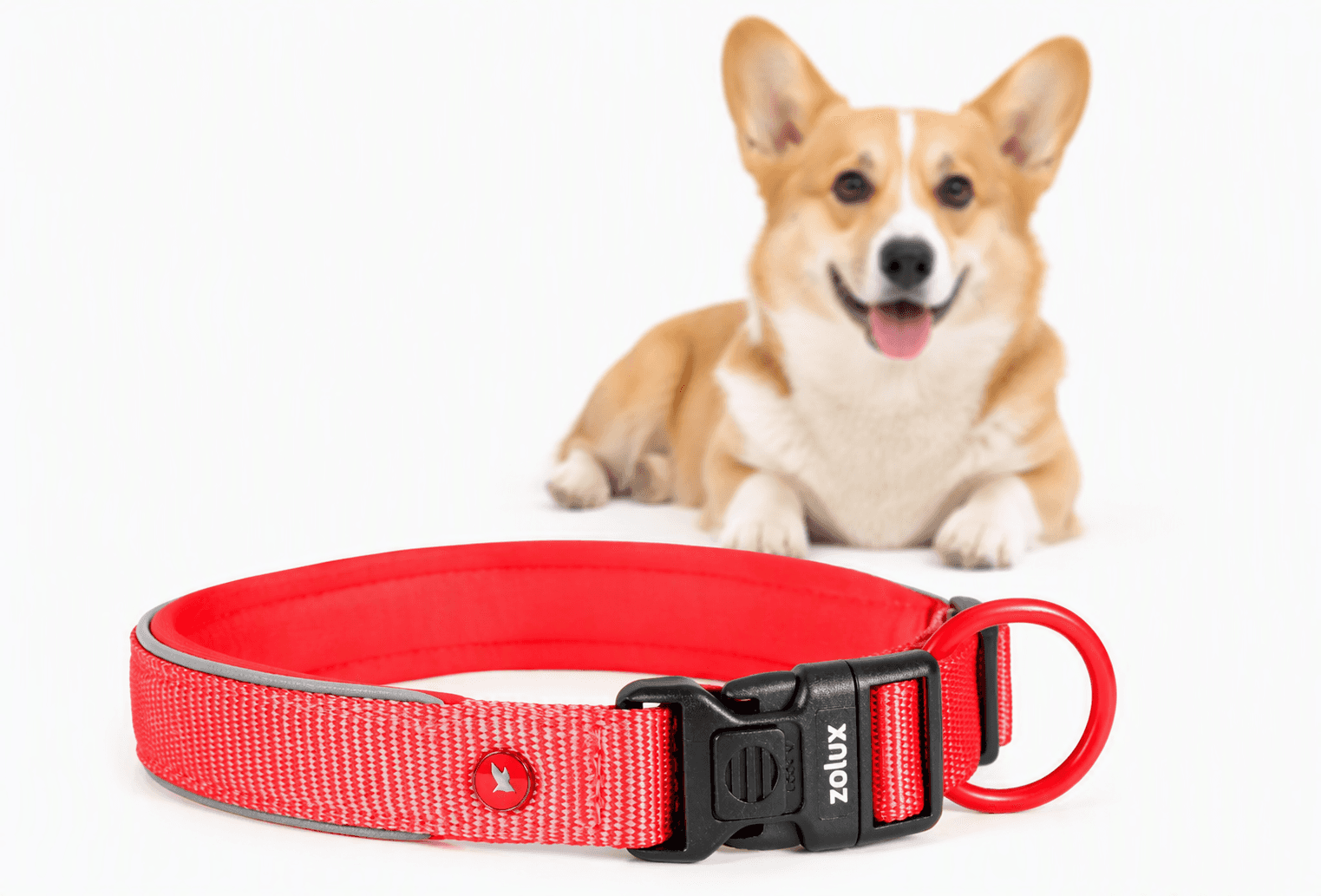 ZOLUX Premium-Nylon-Hundehalsband, Größe S, 35–40 cm, 20 mm, rot – Bild 1