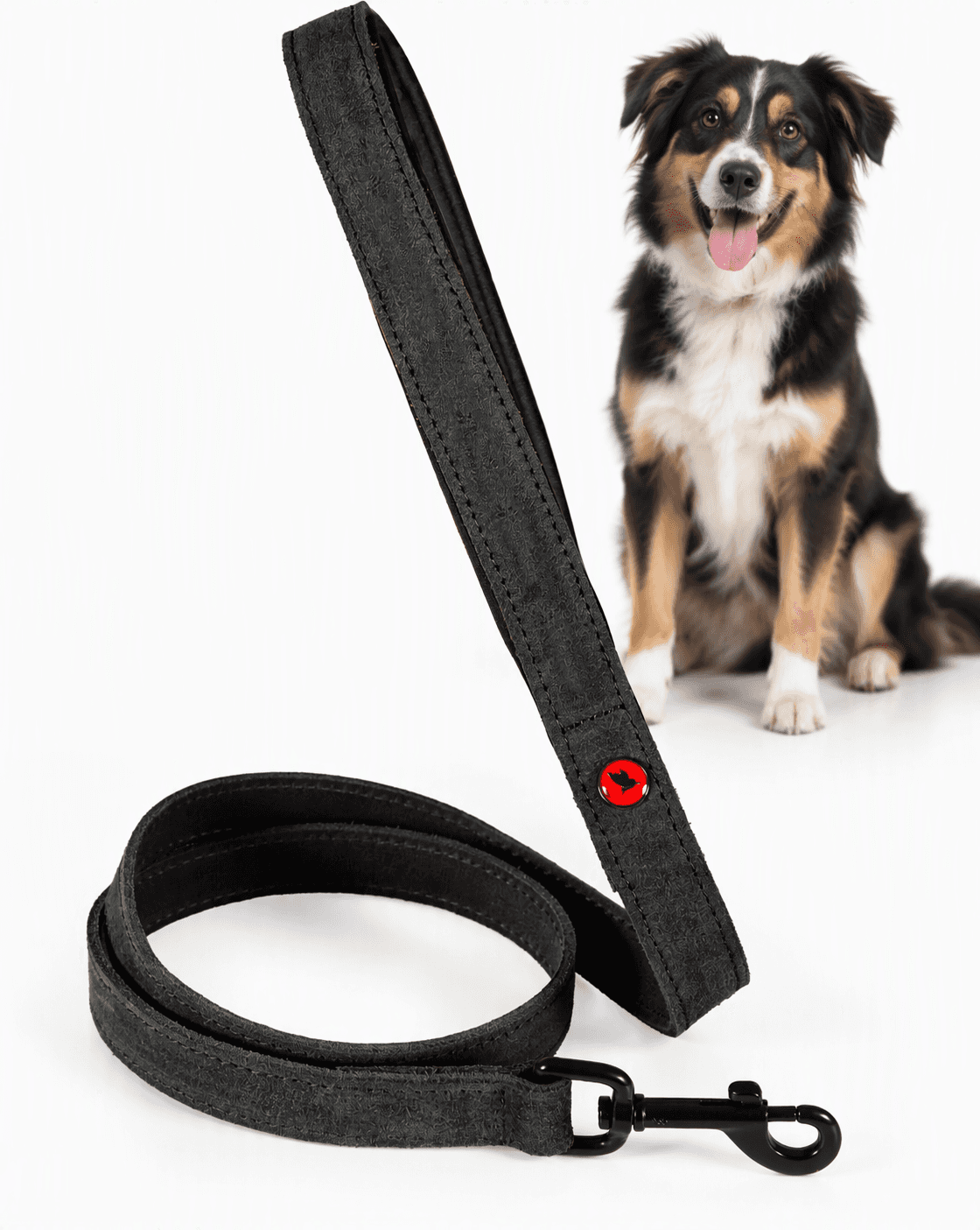 ZOLUX Komfort-Lederleine für Hunde, 1 m, 20 mm, schwarz – Bild 1
