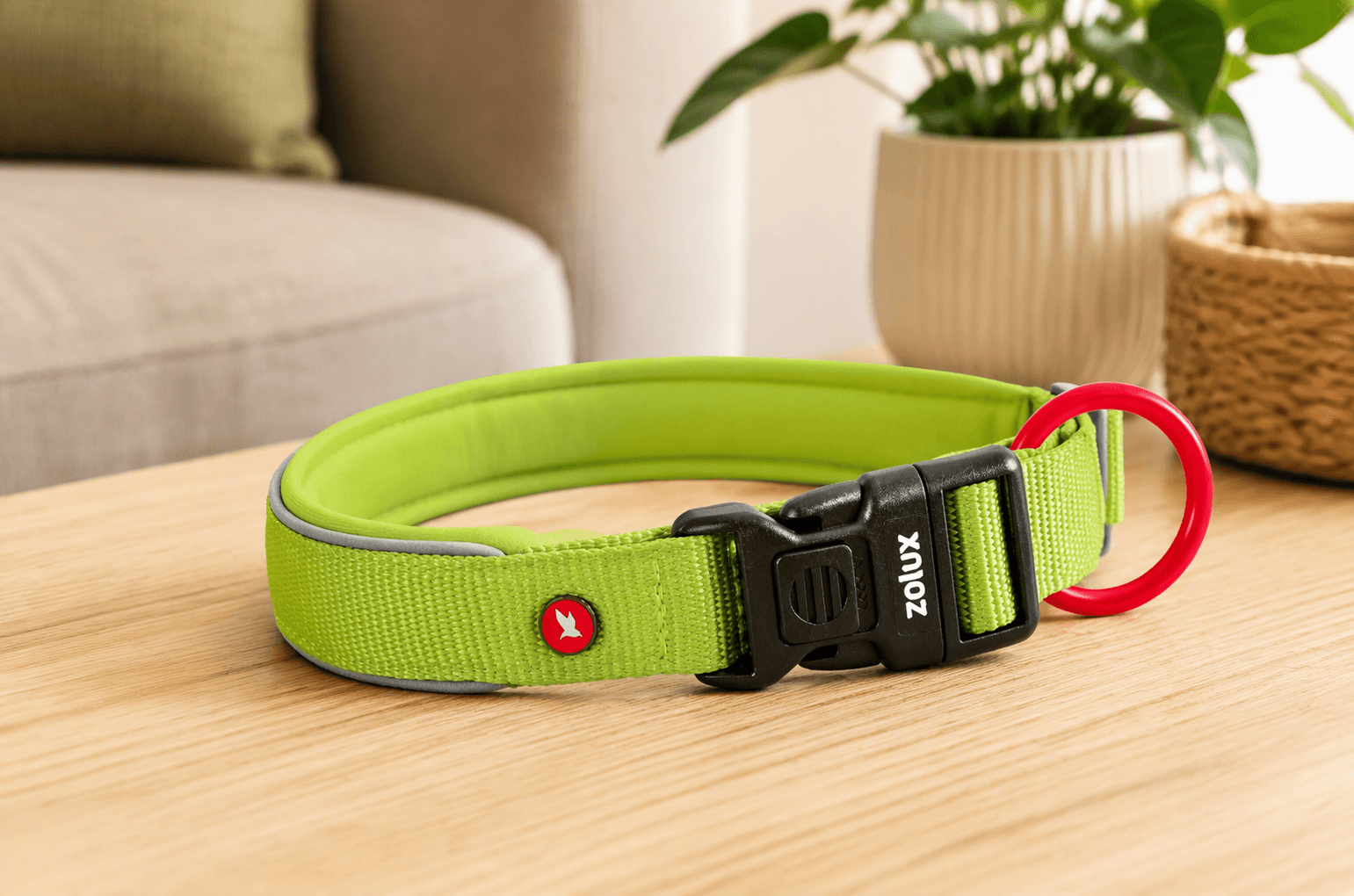 ZOLUX Premium-Nylon-Hundehalsband, Größe XS, 30–35 cm, 15 mm, hellgrün – Bild 3