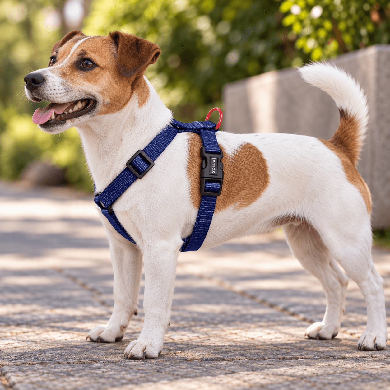 ZOLUX Klassisches Nylon-Hundegeschirr, 23–39 cm, 10 mm, marineblau – Bild 6