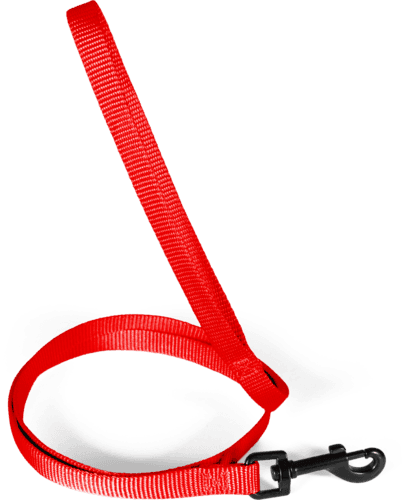 ZOLUX Klassische Nylon-Hundeleine, 1,20 m, 15 mm, rot – Bild 2