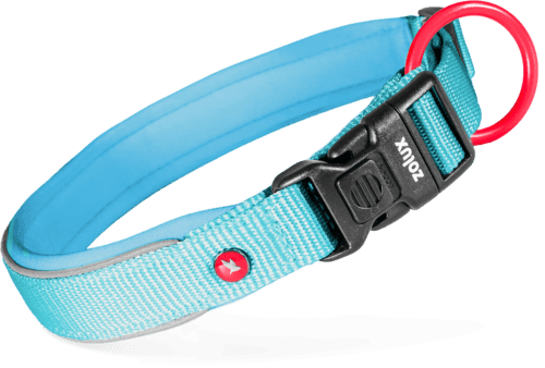 ZOLUX Premium-Nylon-Hundehalsband, Größe M, 40–45 cm, 20 mm, türkis – Bild 2