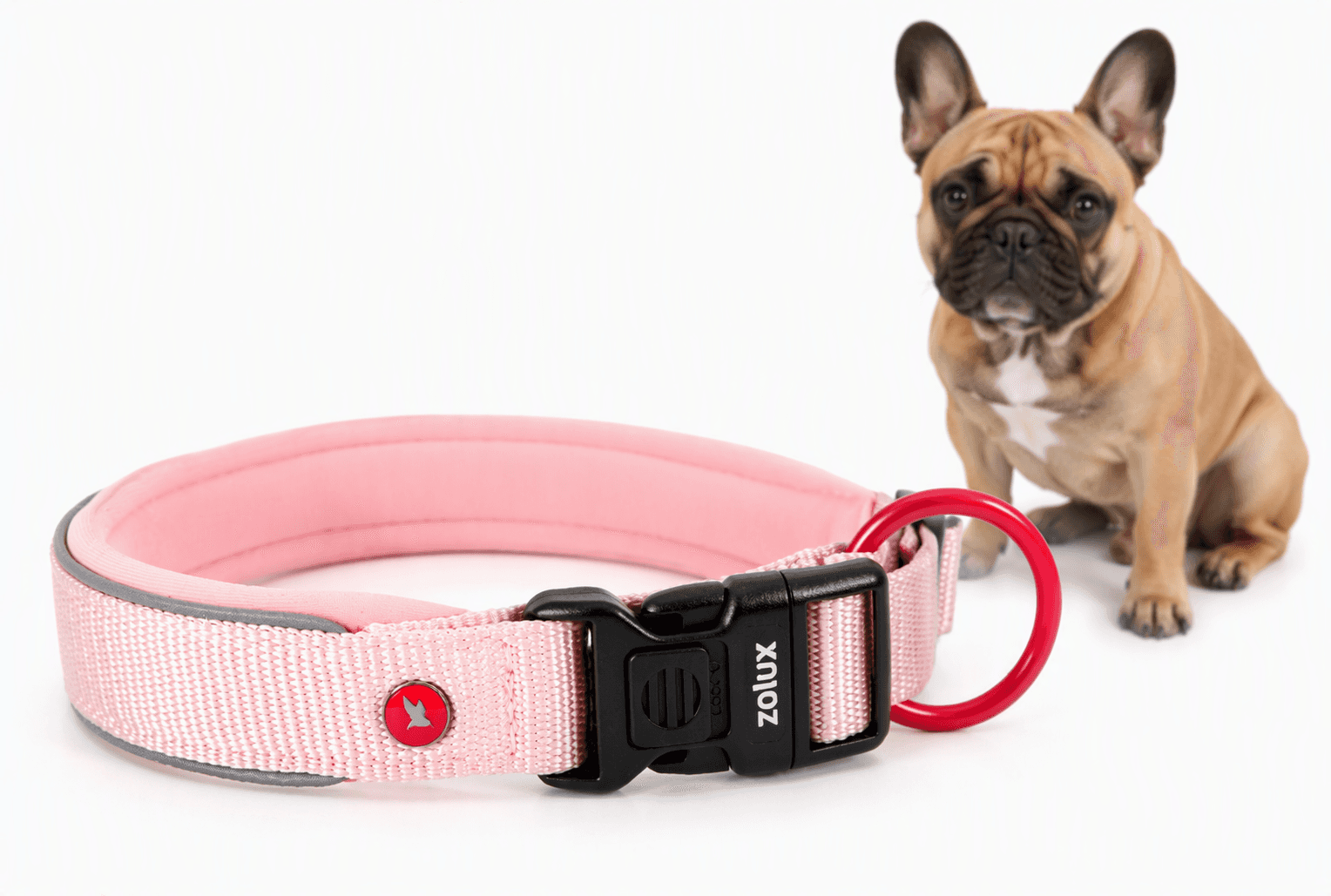 ZOLUX Premium-Nylon-Hundehalsband, Größe S, 35–40 cm, 20 mm, rosa – Bild 1