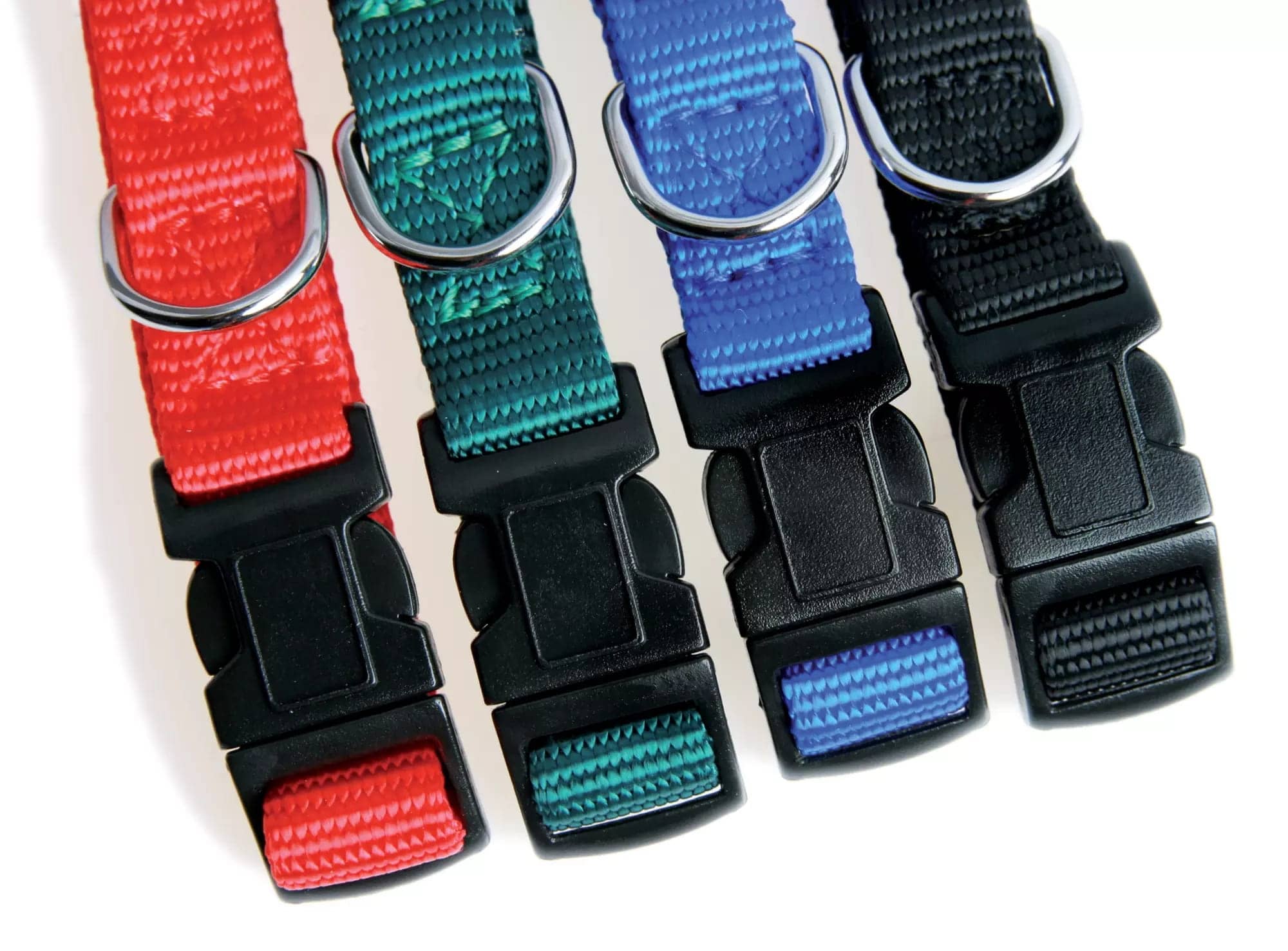 Zolux Hundehalsband aus Nylon – Band 30/40 cm, 15 mm, Farbe: Blau – Bild 6