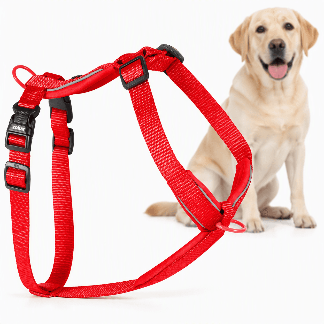 ZOLUX Premium-Nylon-Hundegeschirr, Größe L/XL, 65–97 cm, 25 mm, rot – Bild 1
