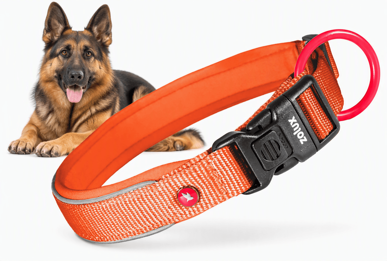 ZOLUX Premium-Nylon-Hundehalsband, Größe L, 45–50 cm, 25 mm, rostbraun – Bild 1
