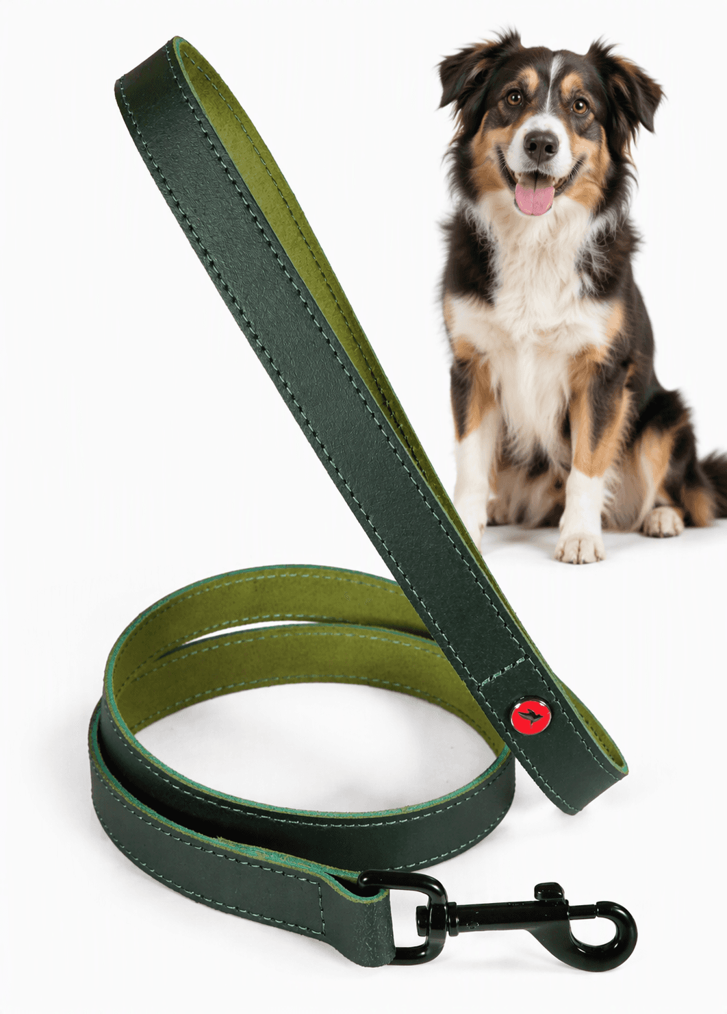 ZOLUX Klassische Lederleine für Hunde, 1 m, 20 mm, grün – Bild 1