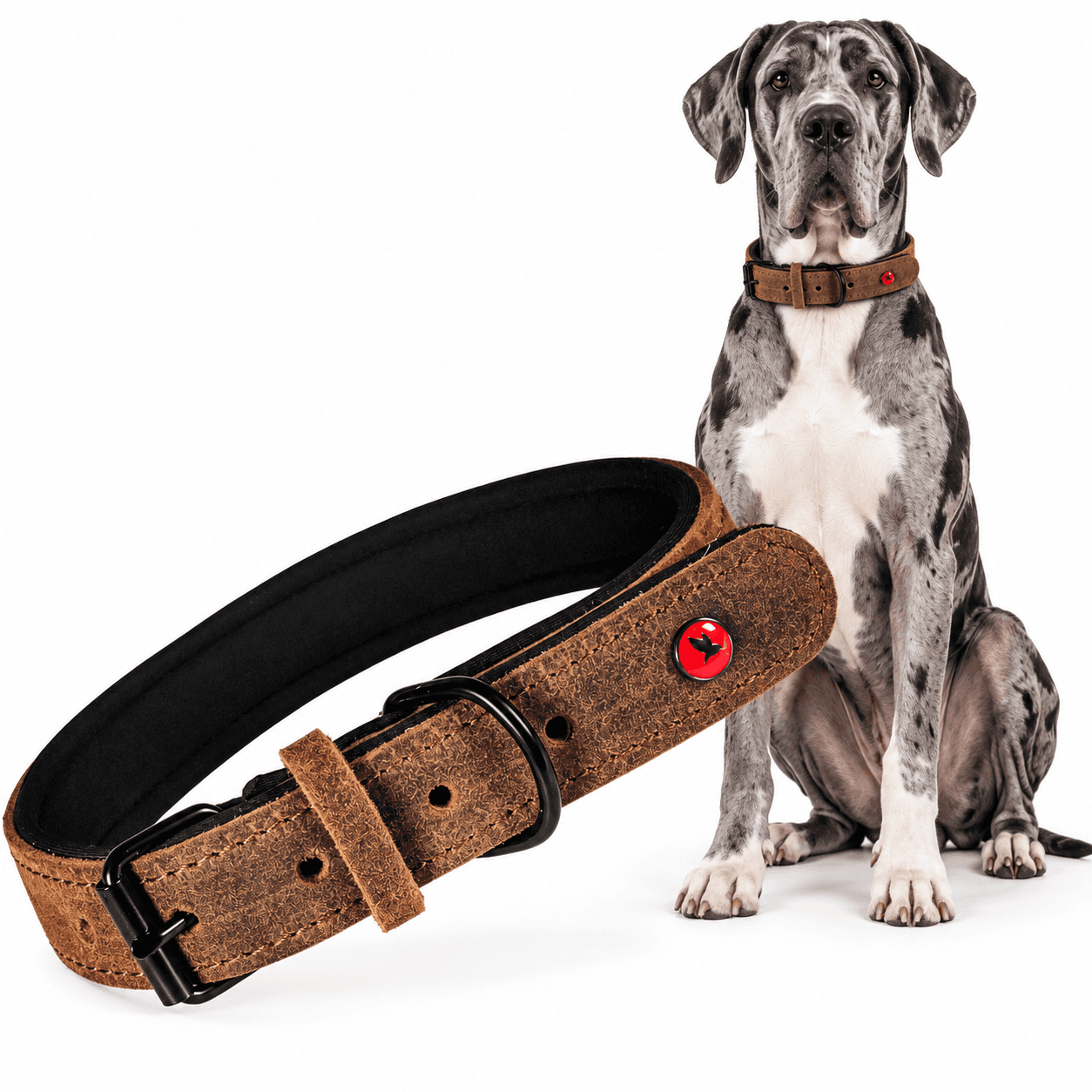 ZOLUX Komfort-Lederhalsband für Hunde, 63–74 cm, 30 mm, braun – Bild 1