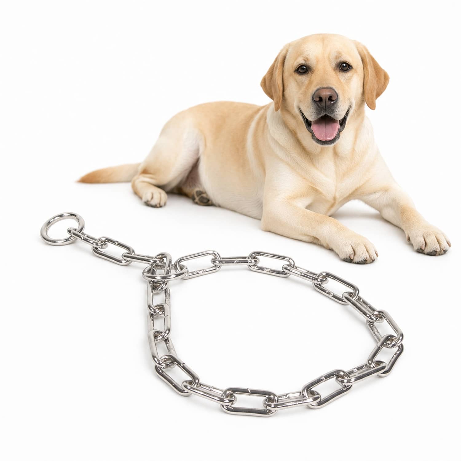 ZOLUX Metall-Würgehalsband für Hunde, 70cm – Bild 1